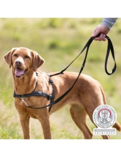 Harnais d'éducation TRIXIE Lead'N Walk Soft