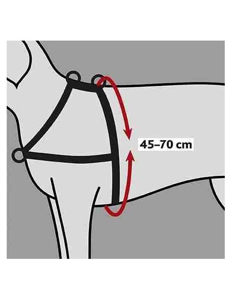 Harnais d'éducation TRIXIE Lead'N Walk Soft