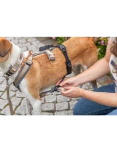 Panic-adaptateur stay pour harnais 2