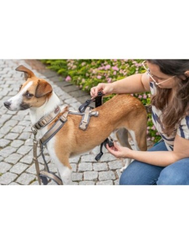 Panic-adaptateur stay pour harnais