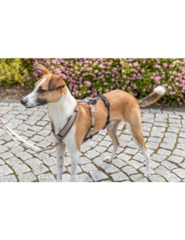 Panic-adaptateur stay pour harnais