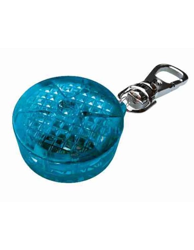 Flasher pour chiens et chats