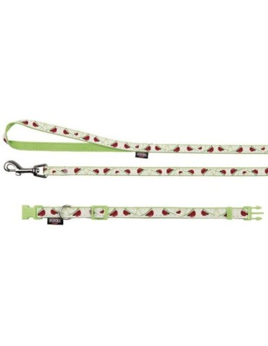 Collier avec laisse Glow in the Dark