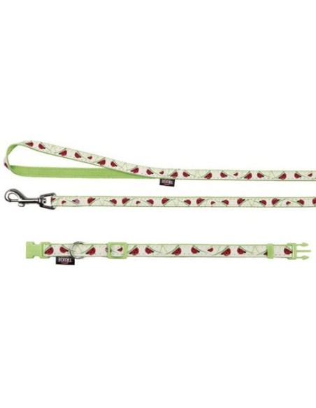 Collier avec laisse Glow in the Dark