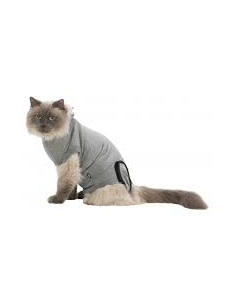 Body de protection pour chat
