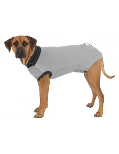 Body de protection pour chiens