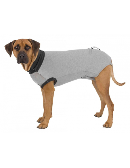 Body de protection pour chiens
