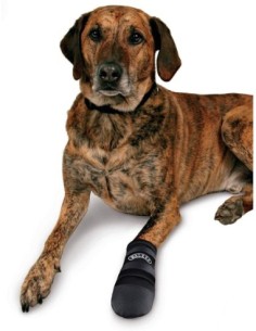 Bottes de protection Walker Care - pour chiens 2