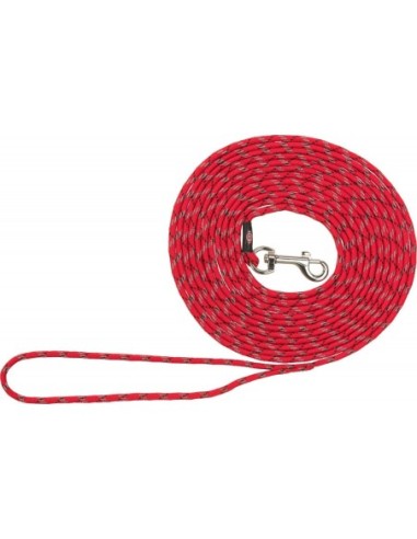 Laisse à pister pour chiot ou petit chien de 4m