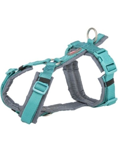 Harnais Premium Trekking Aqua / gris graphite