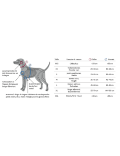 Collier premium océan (turquoise) TRIXIE pour chien 2