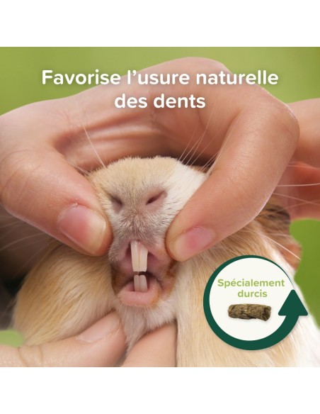 Care+ nature alimentation pour cochon d'inde sans céréale 1,5kg