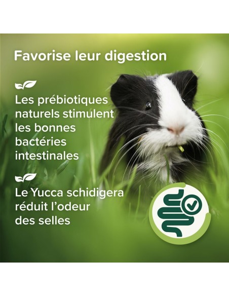 Care+ nature alimentation pour cochon d'inde sans céréale 1,5kg