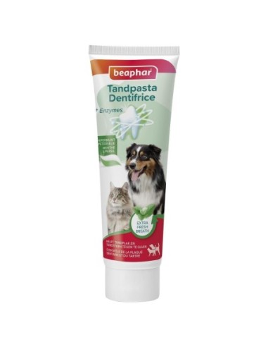 Dentifrice menthe persil 100g