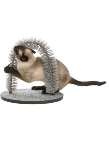 Arc de massage et de soin du pelage pour chat