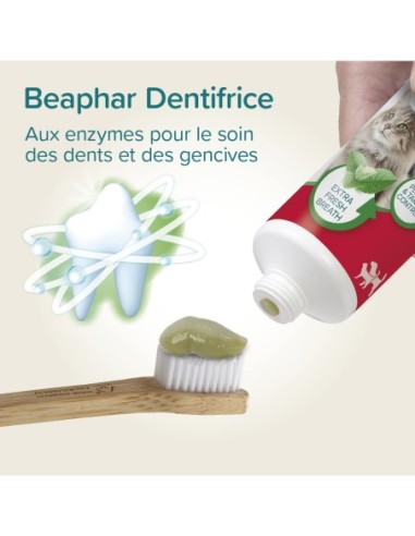 Dentifrice menthe persil 100g