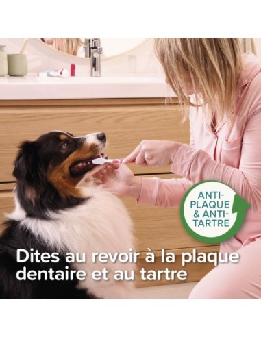 Dentifrice menthe persil 100g