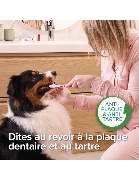 Dentifrice menthe persil 100g