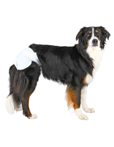 Couches pour chiens femelles, 12 pcs