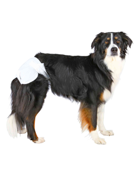 Couches pour chiens femelles, 12 pcs