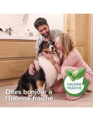Dentifrice menthe persil 100g