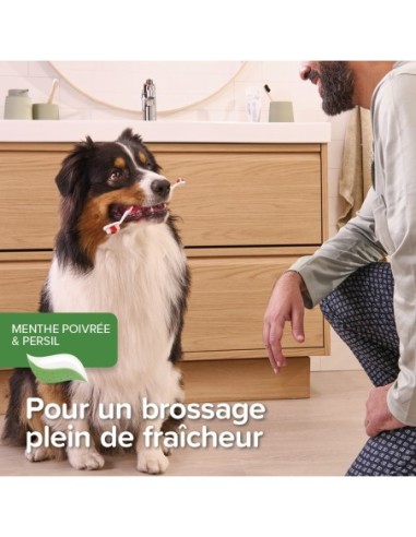 Dentifrice menthe persil 100g