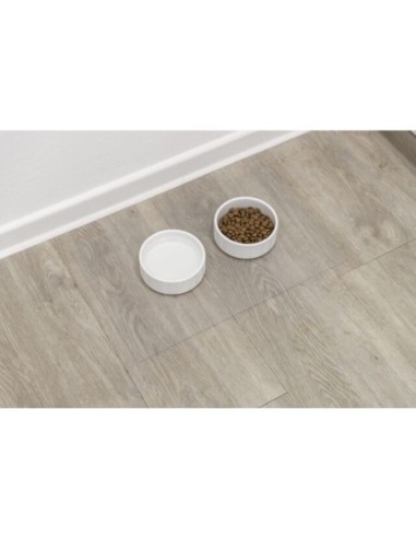 Set De Table Trixie en vinyle transparent (48X30 CM)
