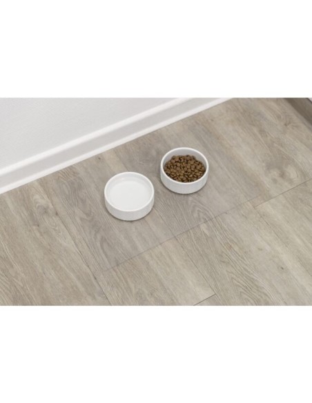 Set De Table Trixie en vinyle transparent (48X30 CM)