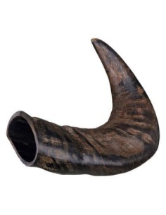 Corne de buffle à mâcher