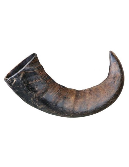 Corne de buffle à mâcher