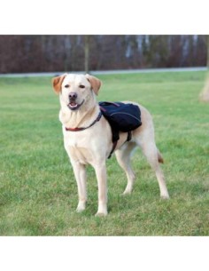Harnais - Sac à dos pour chiens