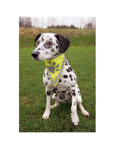 Foulard de sécurité TRIXIE