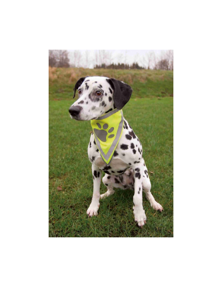 Foulard de sécurité TRIXIE