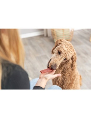 Filets au bœuf pour chien - Trixie