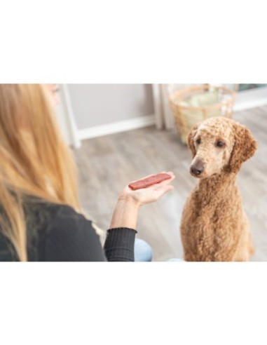 Filets au bœuf pour chien - Trixie