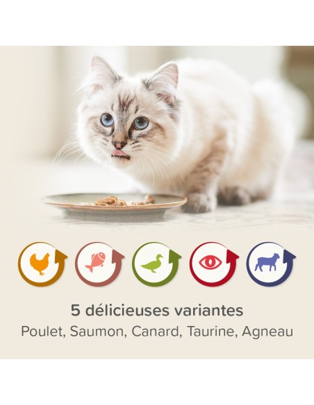 Multipack Pâtées Rénales pour chat - 6 x 100 g - Béaphar