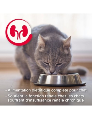 Multipack Pâtées Rénales pour chat - 6 x 100 g - Béaphar