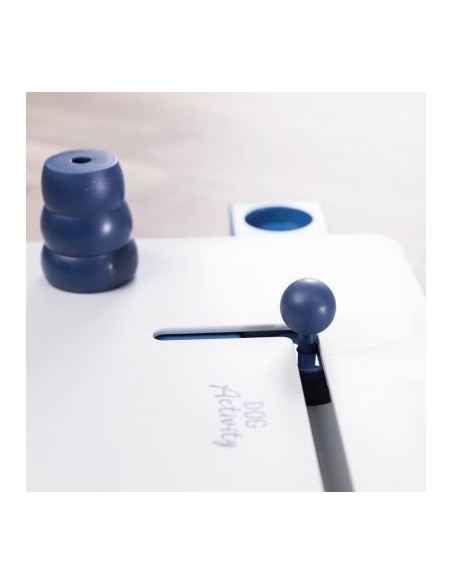 Jeu de réflexion Trixie Dog Activity Move2Win