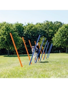 Piquets Slalom Agility