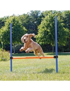 Obstacle d'Agility 2