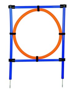 Anneau d'Agility
