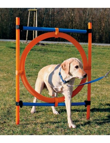 Anneau d'Agility