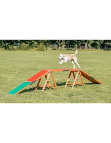 Passerelle Fun Agility Dogwalk