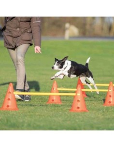 Set d'obstacles pour petits et moyens chiens