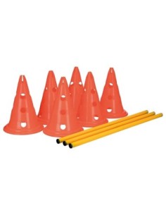 Set d'obstacles pour petits et moyens chiens 2