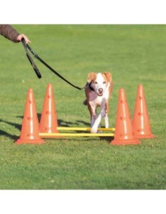Set d'obstacles pour moyens et grands chiens
