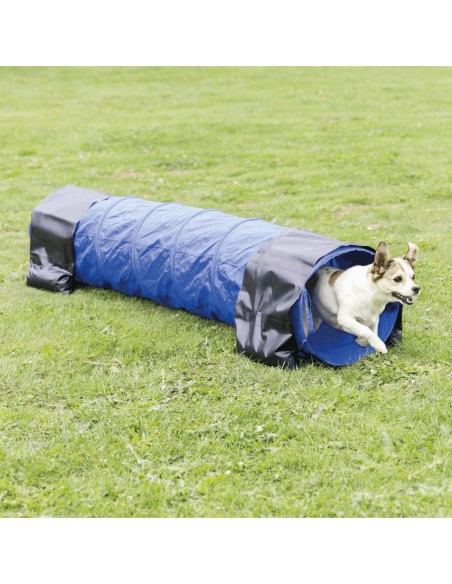 Tunnel d'Agility chiots ou petits chiens
