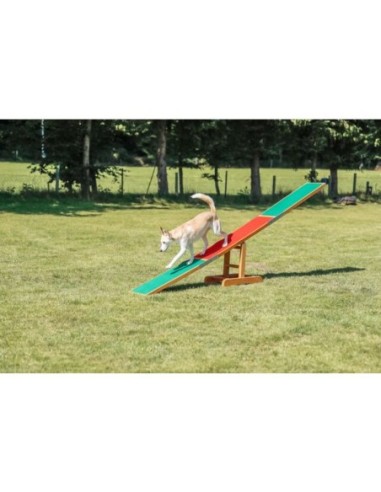 Balancelle - Fun Agility Balançoire