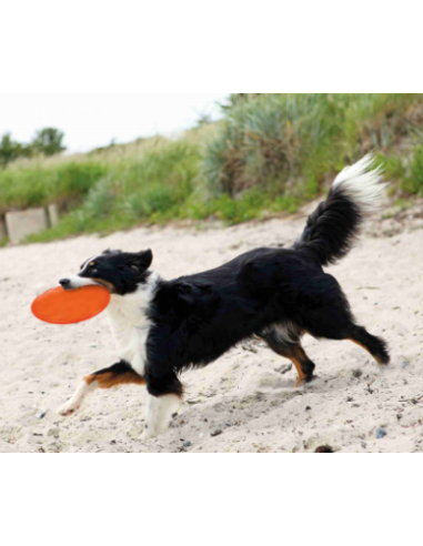 Dog Disc en TPR, Frisbee flottant Trixie ø 18 cm