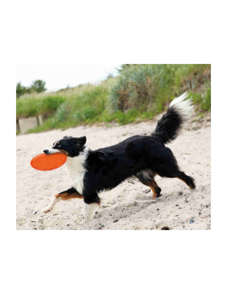 Dog Disc en TPR, Frisbee flottant Trixie ø 18 cm